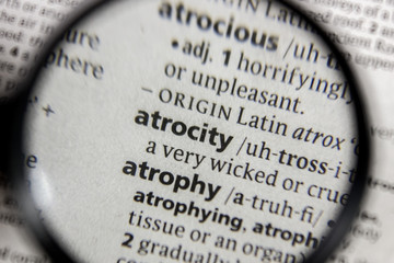 The word or phrase atrocity in a dictionary.