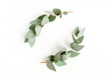 Wreath frame made of branches eucalyptus and leaves isolated on white background. lay flat, top view