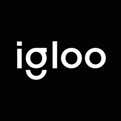 Igloo Logotype White Template