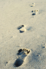 Footprints on wet sea sand.