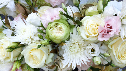 Floral background with blossoming delicate roses, peonies, chrysantemum.