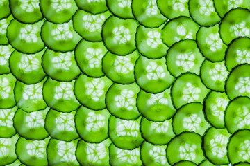 Textured background of multiple translucent overlapping backlit fresh green cucumber slices 