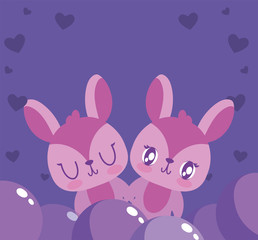 Rabbits cartoons couple vector design