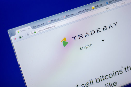 Ryazan, Russia - June 05, 2018: Homepage of TradeBay website on the display of PC, url - TradeBay.com.