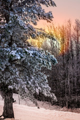 Fototapety na wymiar - Fototapeta24.pl