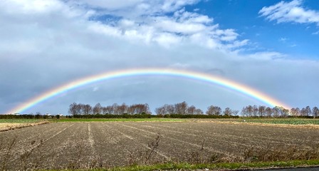 田んぼに虹がかかる時