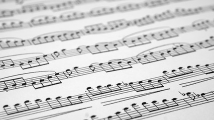  A sheet of paper with musical notes. Abstract background from musical notes for the designer.