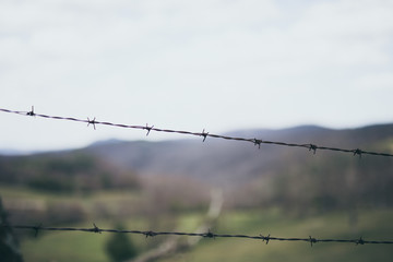 razor wire fence