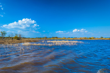 sea sky cloud nature beach summer 