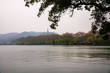 lake in autumn with tree branch