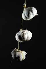 Three heads of garlic hang on a thread. copy space. on a black background isolate. close up