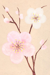 梅の花_ベージュ