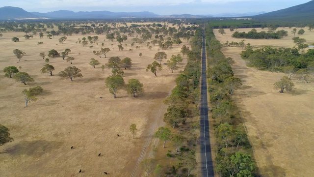 Aerial pan acros rural road and pastures in Australian outback