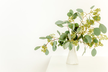 A bunch of twigs green eucalyptus in a glass jar on the table.