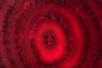 Sliced beets close-up, macro photo. The concept of healthy organic food, vegetarianism. Red shades, background extract image on the theme of food.