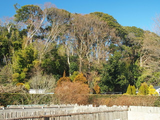 堆肥置き場のある冬の里山風景