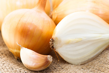 Garlic and onion close up on canvas