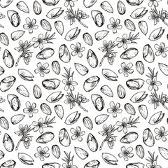 Seamless pattern with sketches of almonds and its flowers.