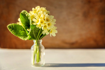 Easter concept. Bouquet of Primrose Primula with yellow flowers in glass vase on wooden backdrop. Inspirational natural floral spring or summer blooming background. Copy space.