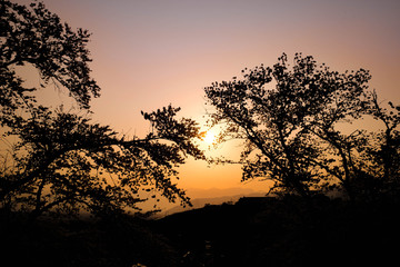 Obraz premium 山梨県 勝沼ぶどう郷の甚六桜