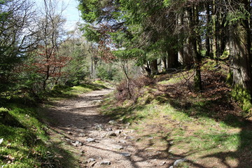 Hiking trail to Mount Goat Fell, Isle of Arran, Sotland, United Kingdom