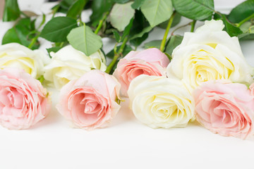 pink and white roses lie on the surface at the top with place for text on a white background