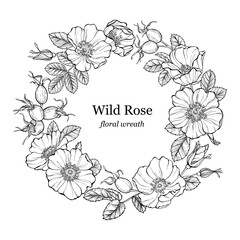 Wild rose flowers and berries wreath, round frame. Line art drawing. Outline vector decorative rosehip background