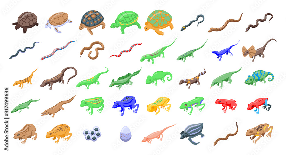 Poster reptiles and amphibians icons set. isometric set of reptiles and amphibians vector icons for web des