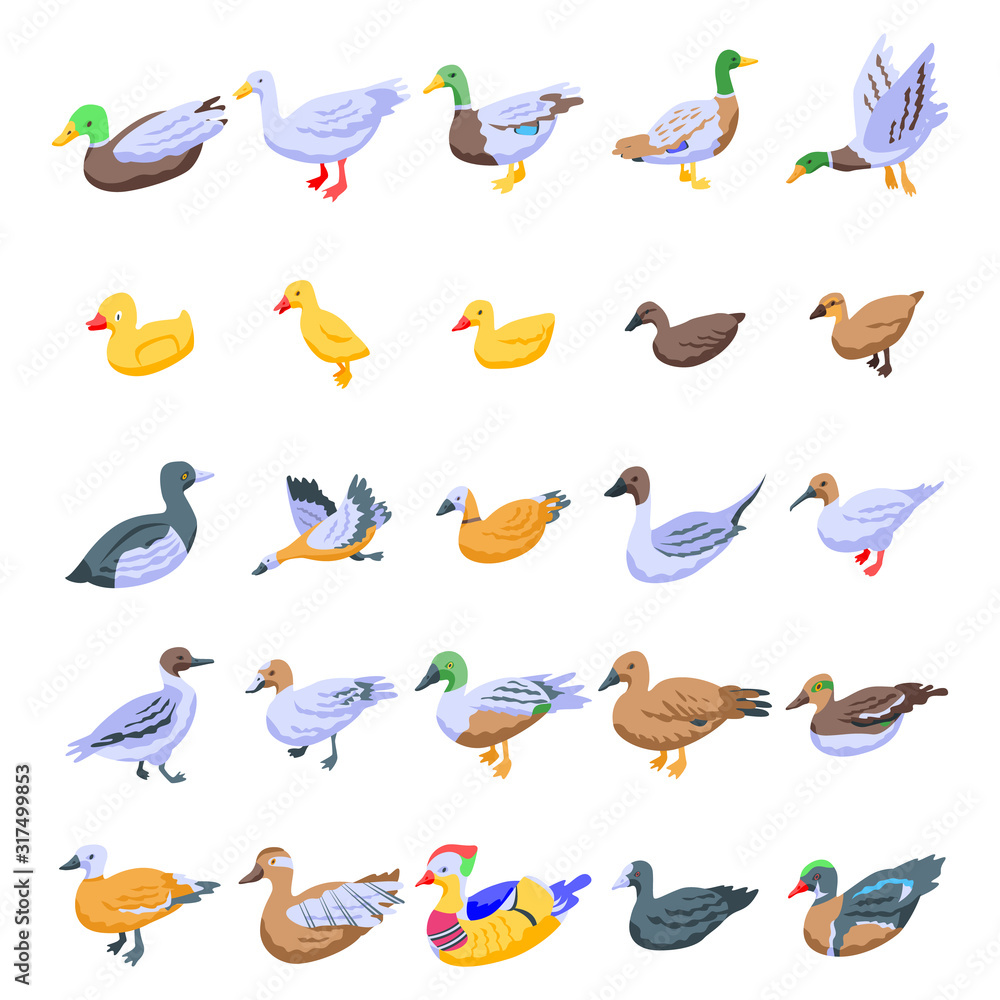 Poster duck icons set. isometric set of duck vector icons for web design isolated on white background
