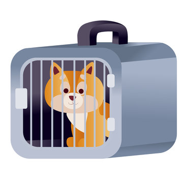 red cat sits in a blue carrier and waits when it travels by plane or train, isolated object on a white background,