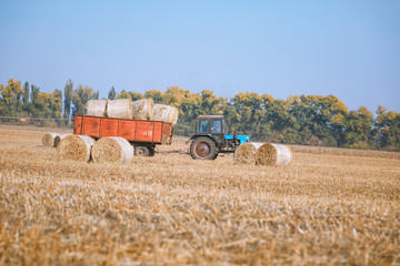 Fototapeta na wymiar Hay bail harvesting in wonderful autumn farmers field landscape with hay stacks