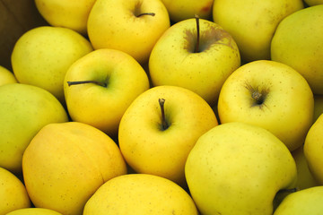 yellow apples for food texture