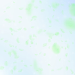 Green flower petals falling down. Worthy romantic 