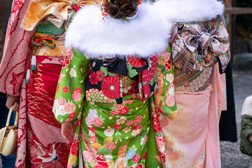 成人式　振袖を着た女性たちの後ろ姿