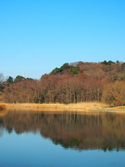 冬の21世紀の森と広場風景