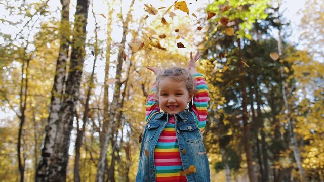 Cheerful cute little girl in colorful blouse and denim jacket throws up yellow leaves, slow motion. Little girl having fun in the autumn forest, she is happy and smiles.