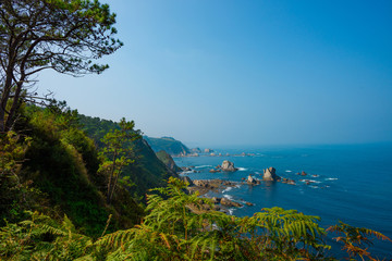 Rocky ocean coast with stones in water pine and fir on the hills