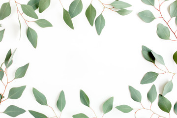 Fototapeta na wymiar Frame made green leaves eucalyptus populus isolated on white background. Flat lay, top view