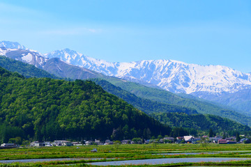 田植えの季節。残雪の北アルプス。松本、長野、日本。5月下旬。