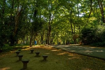 Parque da Lavandeira or Quinta da Condessa, located in Oliveira do Douro, V. N. de Gaia, Portugal....