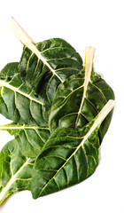 Fresh chard leaves