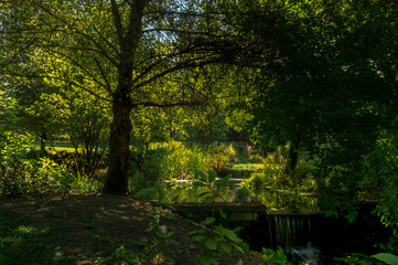 Lake inside Lavandeira park, beautiful place to visit. Great for walking routes, picnic areas and themed gardens.