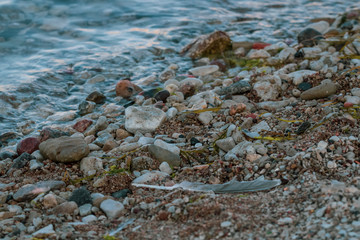 Small beach by the coast covered with multiple stones and sand