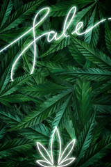 Naklejka na ściany i meble Creative background of cannabis leaves, marijuana and a neon sign Sale. Flat Lay Copy Space