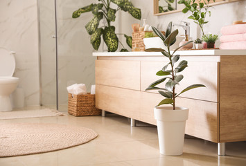 Beautiful green plants in elegant modern bathroom. Interior design
