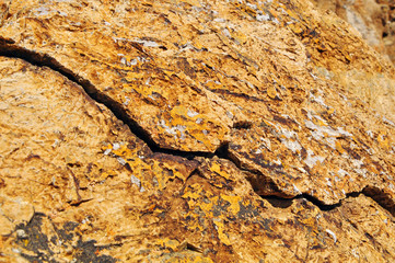 Yellow stone texture from Altai rocky moumtains