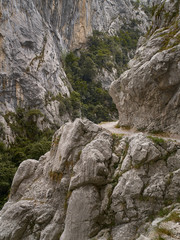 Ruta del Cares