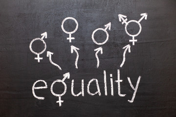 A symbol of transgender and female and male gender symbols on a chalkboard. Freedom of choice. The word "equality" on a chalkboard.
