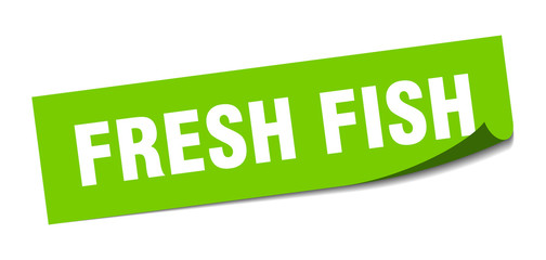 fresh fish sticker. fresh fish square sign. fresh fish. peeler