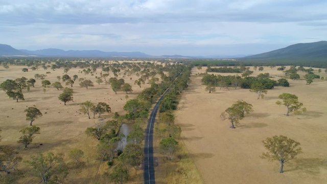 Slow aerial rise over scenic rural road lined with trees and pastures. Grampians, Victoria, Australia